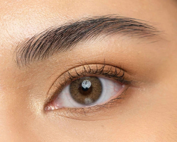 Enzo Warm Brown - Prescription